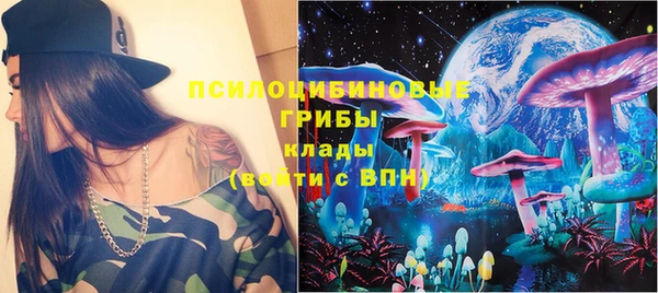 apvp Алзамай