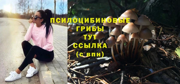 mdpv Алексин