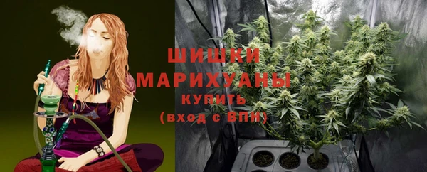 apvp Алзамай