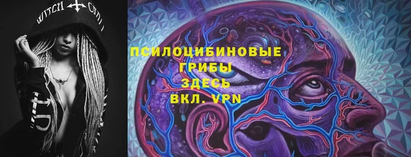 apvp Алзамай