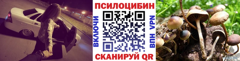 Псилоцибиновые грибы GOLDEN TEACHER  как найти закладки  Ачхой-Мартан 