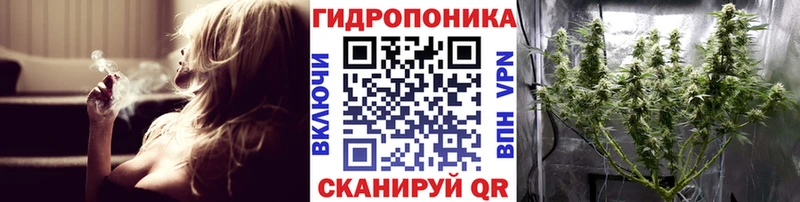 Шишки марихуана конопля Ачхой-Мартан